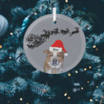 Ornement En Verre Chien dans Santa Hat avec nom | Sleigh et Reindeer<br><div class="desc">Un ornement de Noël personnalisé est une excellente façon de célébrer votre animal de compagnie à Noël. Un dessin d'un chapeau de Père Noël rouge et blanc est placé sur la photo d'un chien du Queensland Heeler gingembre. Sur la partie blanche de la casquette, il y a de la place...</div>