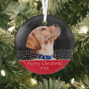 Ornement En Verre Chien rouge, animal de compagnie photo Noël
