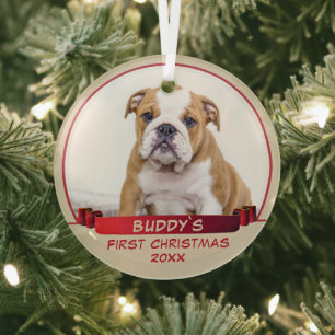 Ornement En Verre Chiot Bulldog 1er Noël Ruban Rouge Photo Chien