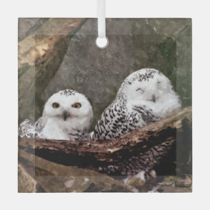 Ornement En Verre Chouette Harfang Couple Art Bois Faune