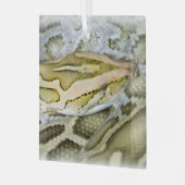 Ornement En Verre Closeup de python indien (Avant gauche)