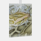 Ornement En Verre Closeup de python indien (Avant droite)