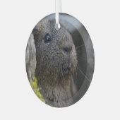 Ornement En Verre Cochon de Guinée Citron Agouti en roche lisse, à a (Avant gauche)