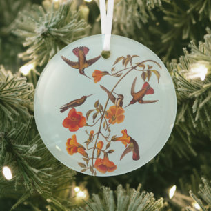 Ornement En Verre Colibris de la mangrove aux fleurs de trompette or