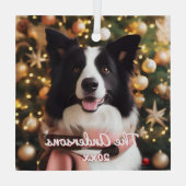 Ornement En Verre Collie frontalier dans une écharpe et un arbre de  (Verso)