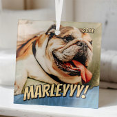 Ornement En Verre Comédie moderne Simple Cool Personnalisé Photo pou