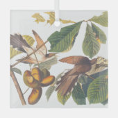 Ornement En Verre Coucou à bec jaune Audubon (Recto)