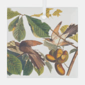 Ornement En Verre Coucou à bec jaune Audubon (Verso)