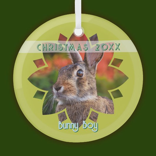 Ornement En Verre Custom Rabbit Photo on Yellow Green