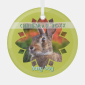 Ornement En Verre Custom Rabbit Photo on Yellow Green (Recto)