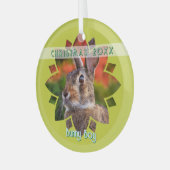 Ornement En Verre Custom Rabbit Photo on Yellow Green (Avant gauche)