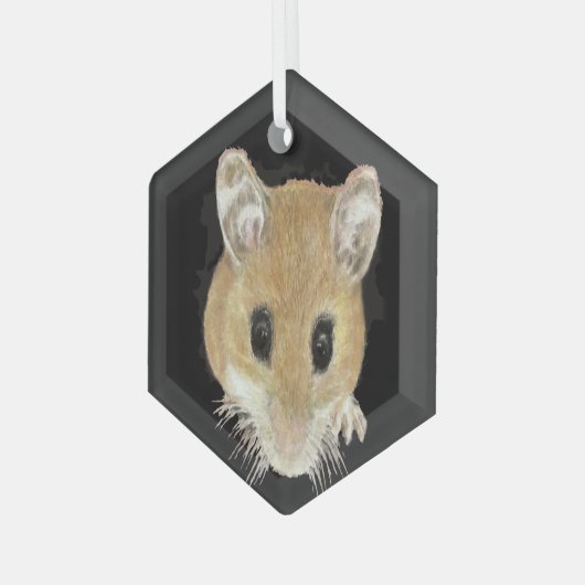 Ornement En Verre Cute Aquarelle Souris Peeking Animal Art (Avant gauche)