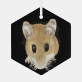 Ornement En Verre Cute Aquarelle Souris Peeking Animal Art (Verso)