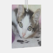 Ornement En Verre Cute Kitten 1 Carré photo (Avant droite)