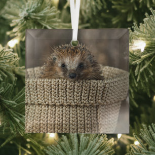 Ornement En Verre Cutest Baby Animals Hedgehog in a Basket