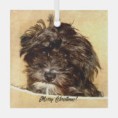 Ornement en verre de chien Schnoodle (Recto)