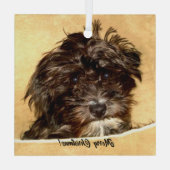 Ornement en verre de chien Schnoodle (Verso)