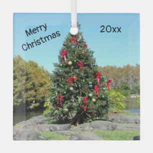 Ornement en verre de Noël de Floride
