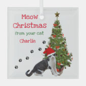 Ornement En Verre De votre vêtement de Noël de chat (Recto)