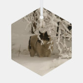 Ornement En Verre Dog (Verso)