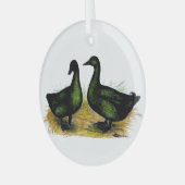 Ornement En Verre Ducks : Cayuga Pair (Avant gauche)