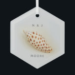 Ornement En Verre Elegant Junonia Beach Shell<br><div class="desc">Elegant Junonia Beach Shell Glass Ornament. This perfect Junonia beach shell is photographed with high resolution macro photographiy and is featured in the Junonia Beach Shell Collection. Personalize with your First Initials and name or as desired Junonia mollusks live à Coastal Ocean depths of over 100 feet, selon Beach Combers...</div>