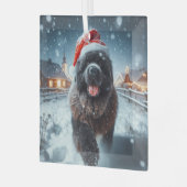 Ornement En Verre Exécution de Père Noël Newfie (Avant gauche)