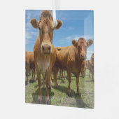 Ornement En Verre Farms | Brown cow (Avant gauche)