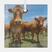 Ornement En Verre Farms | Brown cow (Recto)