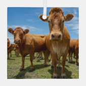 Ornement En Verre Farms | Brown cow (Verso)