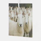 Ornement En Verre Fermes | Troupeau de moutons (Avant gauche)