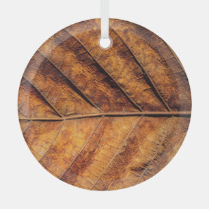 Ornement En Verre Feuille sèche : arrière - plan de texture naturell