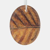 Ornement En Verre Feuille sèche : arrière - plan de texture naturell (Avant droite)