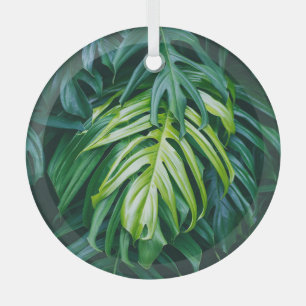 Ornement En Verre Feuilles tropicaux : arrière - plan de nature somb