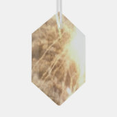 Ornement En Verre Feux d'artifice 15 hexagone en verre (Avant droite)