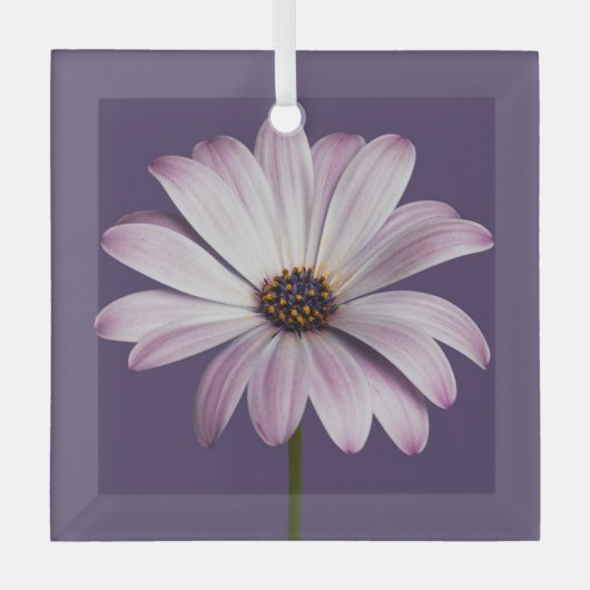 Ornement En Verre Fleurs | Blancs et marguerites (Recto)