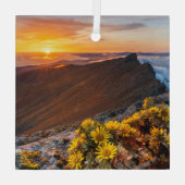 Ornement En Verre Fleurs | Îles Canaries, Espagne (Verso)