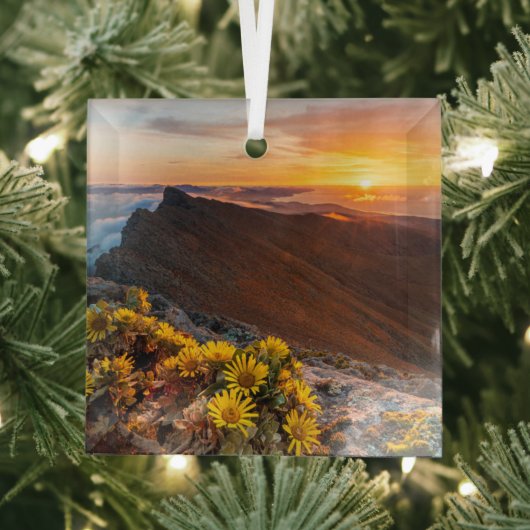 Ornement En Verre Fleurs | Îles Canaries, Espagne (Insitu)