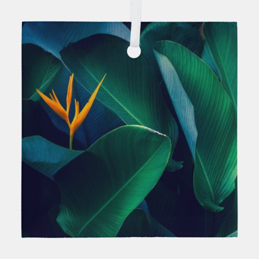 Ornement En Verre Fleurs | Oiseau du paradis (Verso)