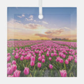 Ornement En Verre Fleurs | Tulips Holland Sud, Pays-Bas (Recto)