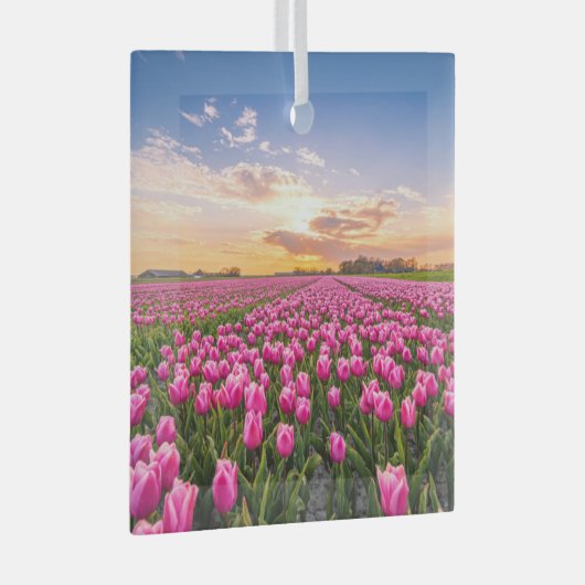 Ornement En Verre Fleurs | Tulips Holland Sud, Pays-Bas (Avant droite)