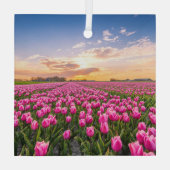 Ornement En Verre Fleurs | Tulips Holland Sud, Pays-Bas (Verso)
