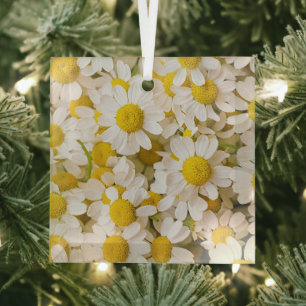 Ornement En Verre Flowers (homonymie) Bunch of Chamomiles