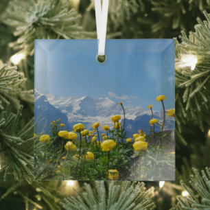 Ornement En Verre Flowers (homonymie) Eiger Monch Swiss Alps