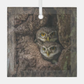 Ornement En Verre Forest | Deux Owls Looking (Recto)