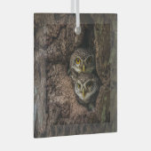 Ornement En Verre Forest | Deux Owls Looking (Avant droite)