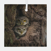 Ornement En Verre Forest | Deux Owls Looking (Verso)