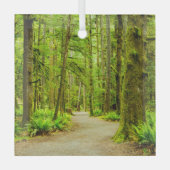 Ornement En Verre Forest | Parc national olympic (Recto)