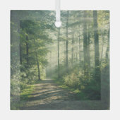 Ornement En Verre Forêt | Chemin forestier Hambourg Allemagne (Recto)