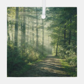 Ornement En Verre Forêt | Chemin forestier Hambourg Allemagne (Verso)
